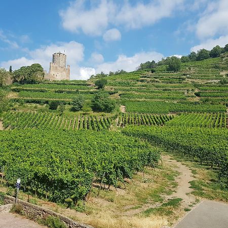 Kaysersberg City Center - Cote Vignoble - Buitenkant foto