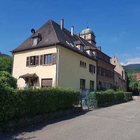 Kaysersberg City Center - Cote Vignoble - Buitenkant foto