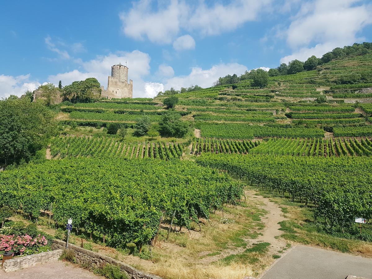 Kaysersberg City Center - Cote Vignoble - Buitenkant foto